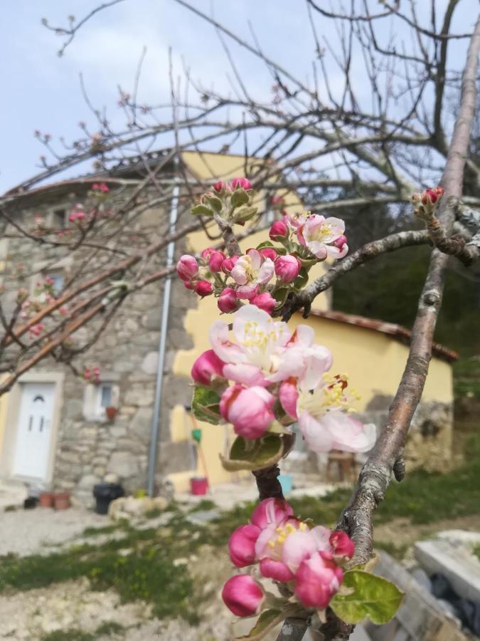Skalameri Kozljak Kültér fotó